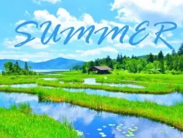 夏天有哪些特点？这些特点你知道吗？