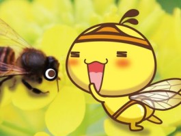 苹果手机拍的照片看不到？究竟是为何