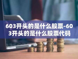 603开头的是什么股票？一文详解603开头的股票代码