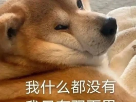 养狗出现这几种毛病？代表养狗很失败！别不当回事