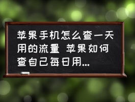 如何查看苹果手机当天的流量消耗？