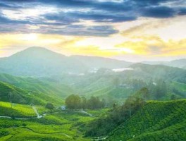 几月去莫干山旅游最佳？你知道最佳旅游时间吗？