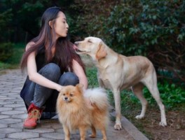 女生喜欢养公狗？无非是这几个原因，你知道吗？