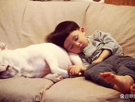真心爱狗的正确方式：别当宠物家人，就把它当狗