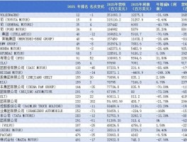 为什么中国没有特斯拉？背后原因值得深思