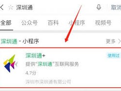 深圳通APP查询历史乘车明细的方法