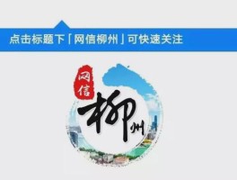 网络金融产品营销监管新规出台