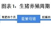 预见2025：中国生猪养殖行业全景图谱，附市场现状等