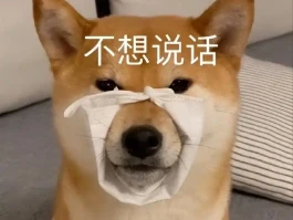 养狗狗久了才明白！为何过来人不建议养公狗？