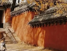 4.5亿买地、私生子、三重身份！少林方丈释永信被查背后有何隐情？