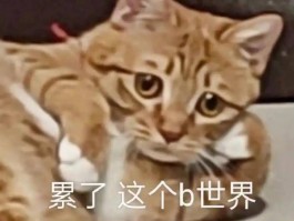 揭秘中国电信无限流量套餐真相：运营商早已取消无限承诺，背后隐藏什么秘密？