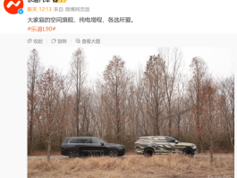 乐道L90最新谍照曝光，尺寸竟不输理想L9？