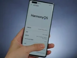 纯血鸿蒙开启首批甄选！仅支持3款机型，有你在其中吗？