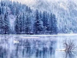 旅行社的注册流程及所需材料清单