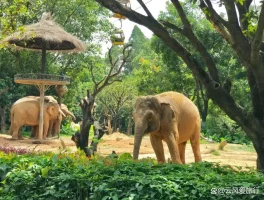 暑期亲子游必看！最合适带孩子旅行的15处宝藏地