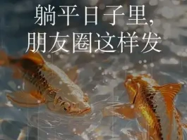 躺平日子里，朋友圈这样发，你知道怎么吸引人吗？