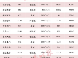 盘点2024：10万+肉签、1000%+涨幅，打新有何变化？