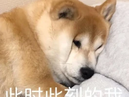 过来人劝告：养狗千万别养公的，这几点太可怕了
