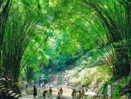 7-8月暑假带娃避暑出游？这6个均温20℃的旅行地别错过