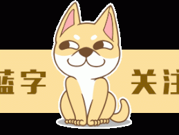爸妈宠狗狗能宠到啥地步？连面子都不要了！哈哈哈
