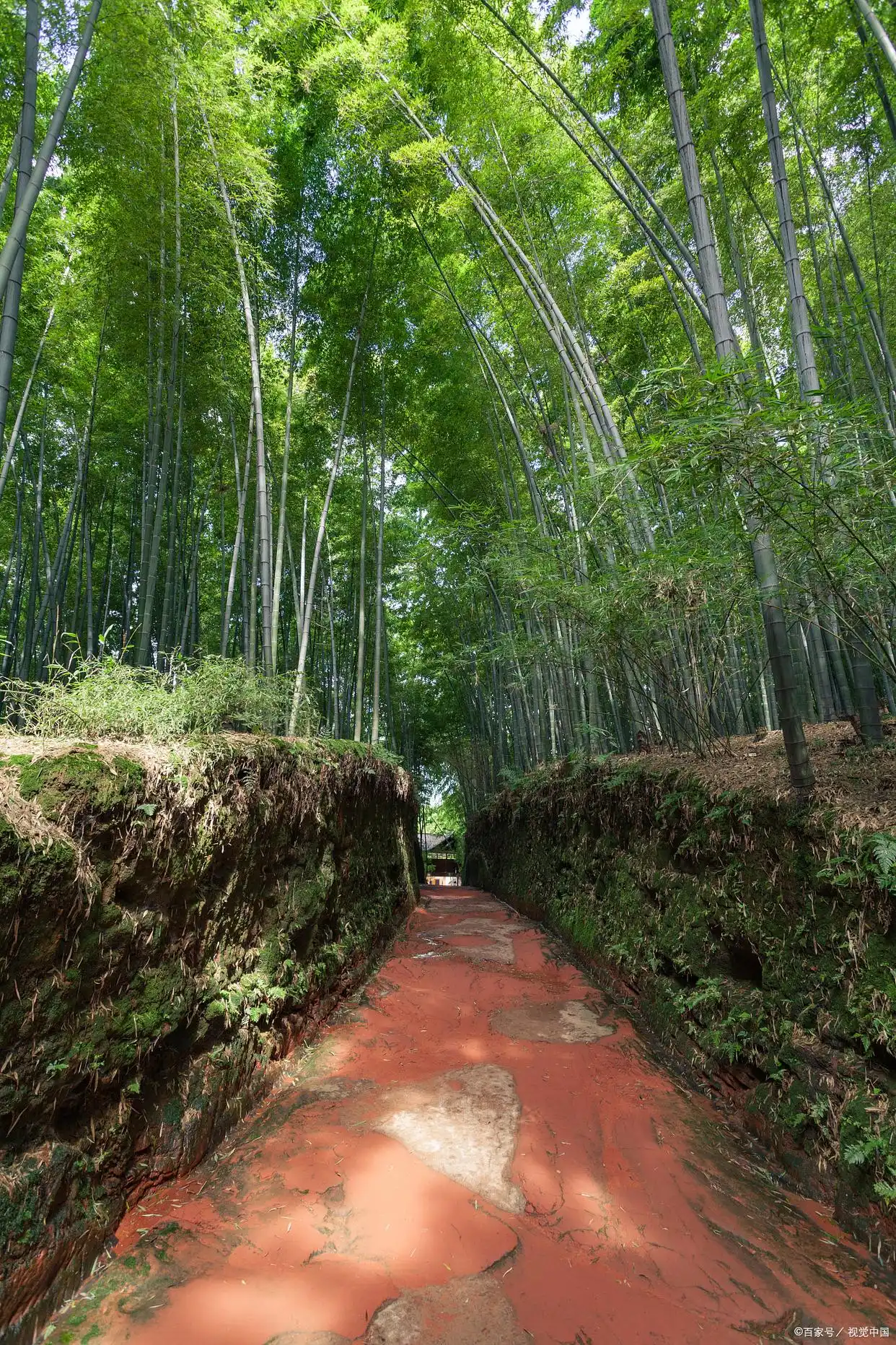 暑期旅游避暑胜地 _ 亲子乐园家庭旅行攻略 _暑假适合带孩子旅游的地方