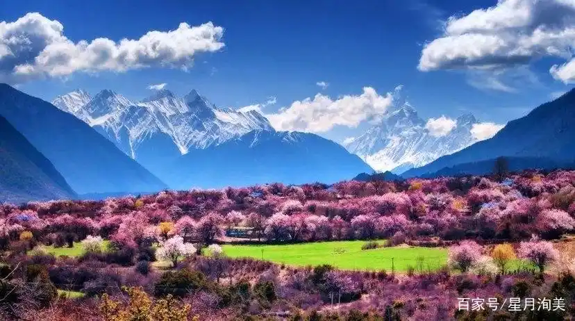新疆薰衣草旅游_新疆夏季旅游攻略_7-8月份避暑最佳地方
