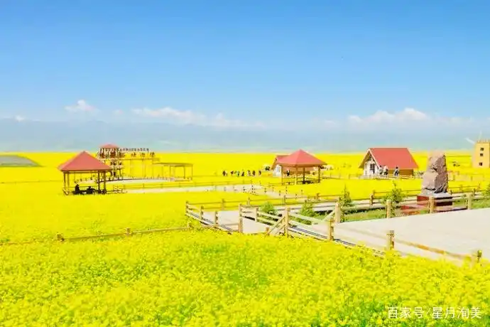 新疆夏季旅游攻略_7-8月份避暑最佳地方_新疆薰衣草旅游