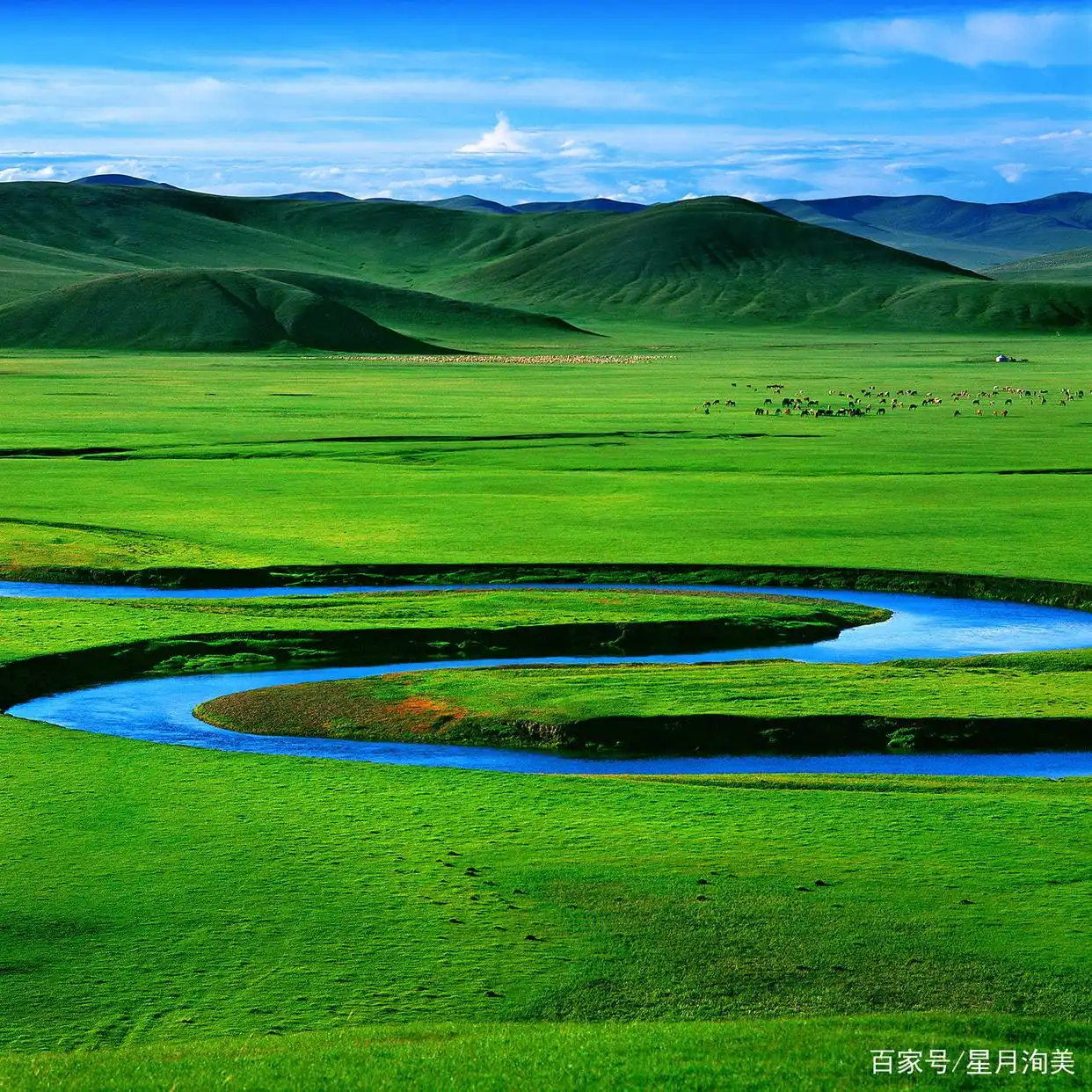 新疆薰衣草旅游_7-8月份避暑最佳地方_新疆夏季旅游攻略