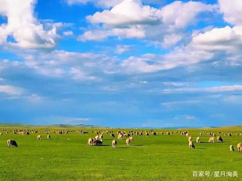 新疆夏季旅游攻略_7-8月份避暑最佳地方_新疆薰衣草旅游