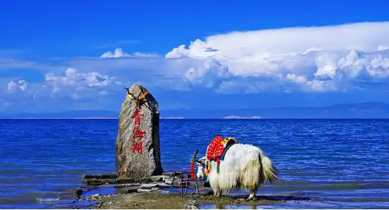 消暑目的地推荐_夏日亲子游_暑假适合带孩子旅游的地方