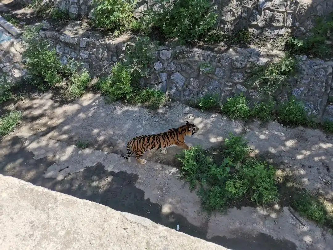 儿童阅读习惯培养_亲子户外活动推荐_暑假适合带孩子旅游的地方