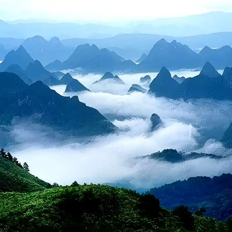 夏季旅游胜地推荐_夏天穷游必去10个地方_青岛夏天旅游攻略