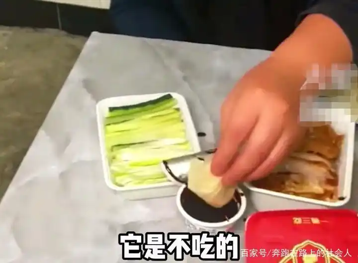 习惯养成与性格塑造_宠物狗饮食习惯_当狗不丢人