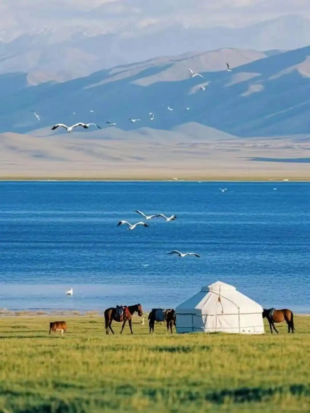 7-8月份避暑最佳地方_贵州六盘水避暑胜地_云南沙溪古镇