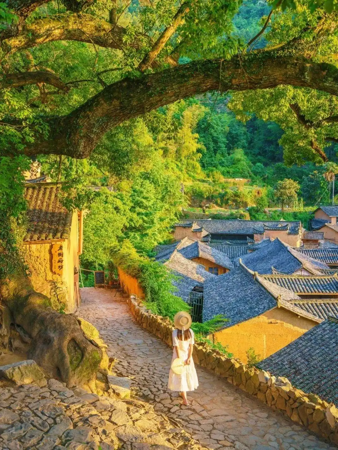 云南沙溪古镇_7-8月份避暑最佳地方_贵州六盘水避暑胜地