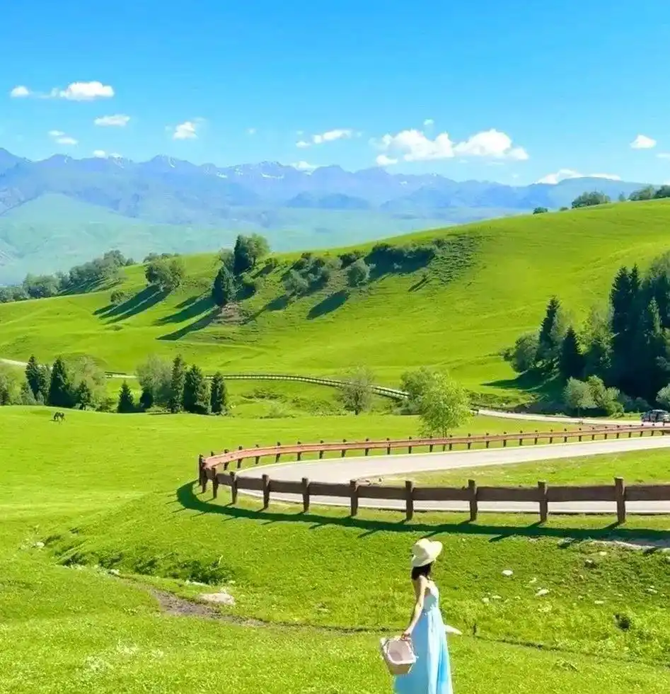 暑假适合带孩子旅游的地方_内蒙古呼伦贝尔亲子游_贵州黔东南少数民族旅游