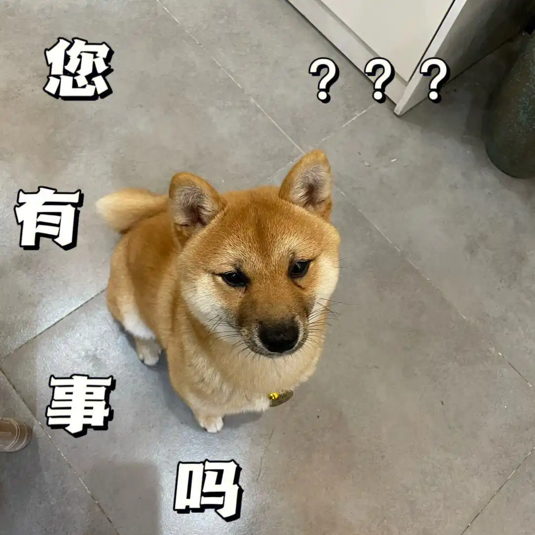 当狗不丢人_中看不中用狗狗_狗狗胆小品种