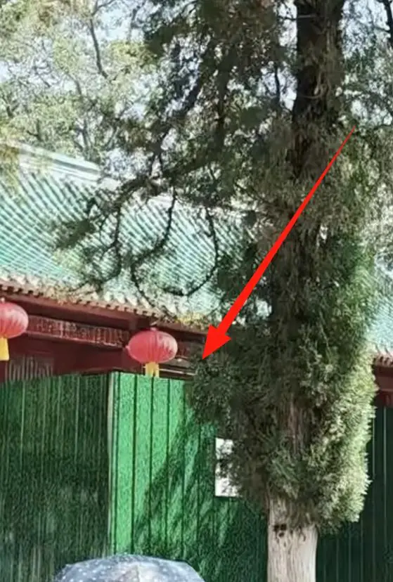 少林寺问题牵扯娱乐圈_释永信立案调查_释永信到底是怎样的人
