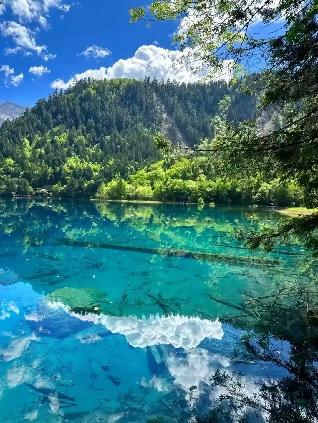 中国7-8月避暑胜地排名_7-8月份避暑最佳地方_避暑胜地夏季均温20℃
