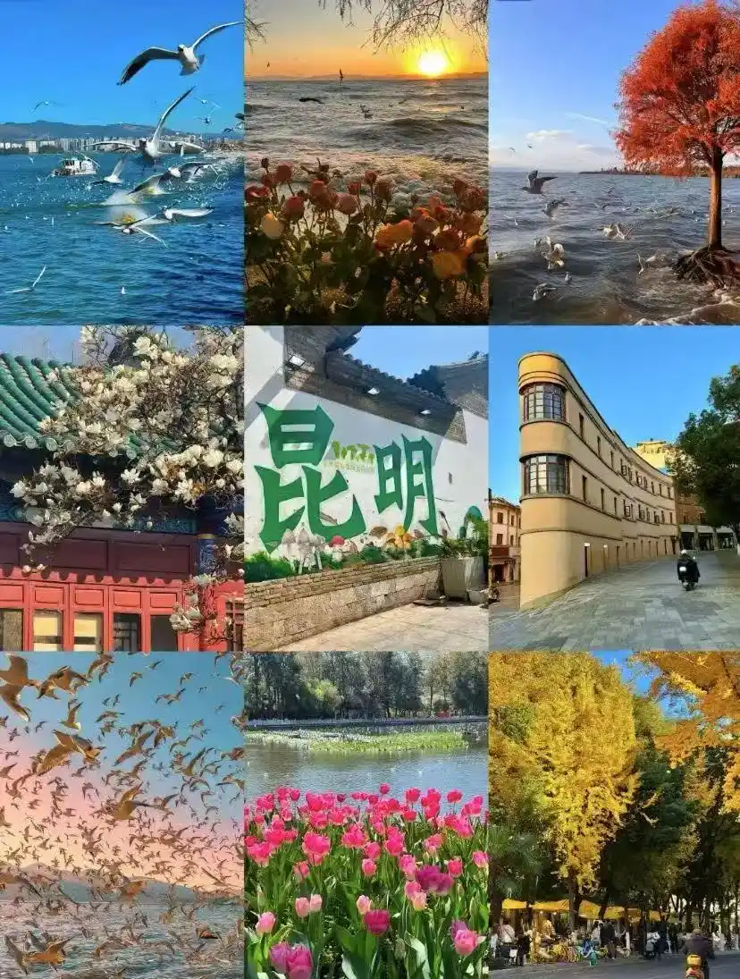 7-8月份避暑最佳地方_避暑胜地夏季均温20℃_中国7-8月避暑胜地排名