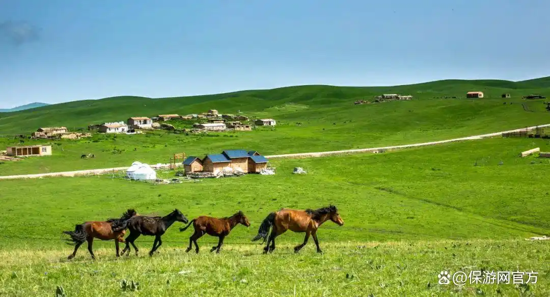 暑期避暑游目的地推荐_云南大理旅游攻略_暑假适合带孩子旅游的地方