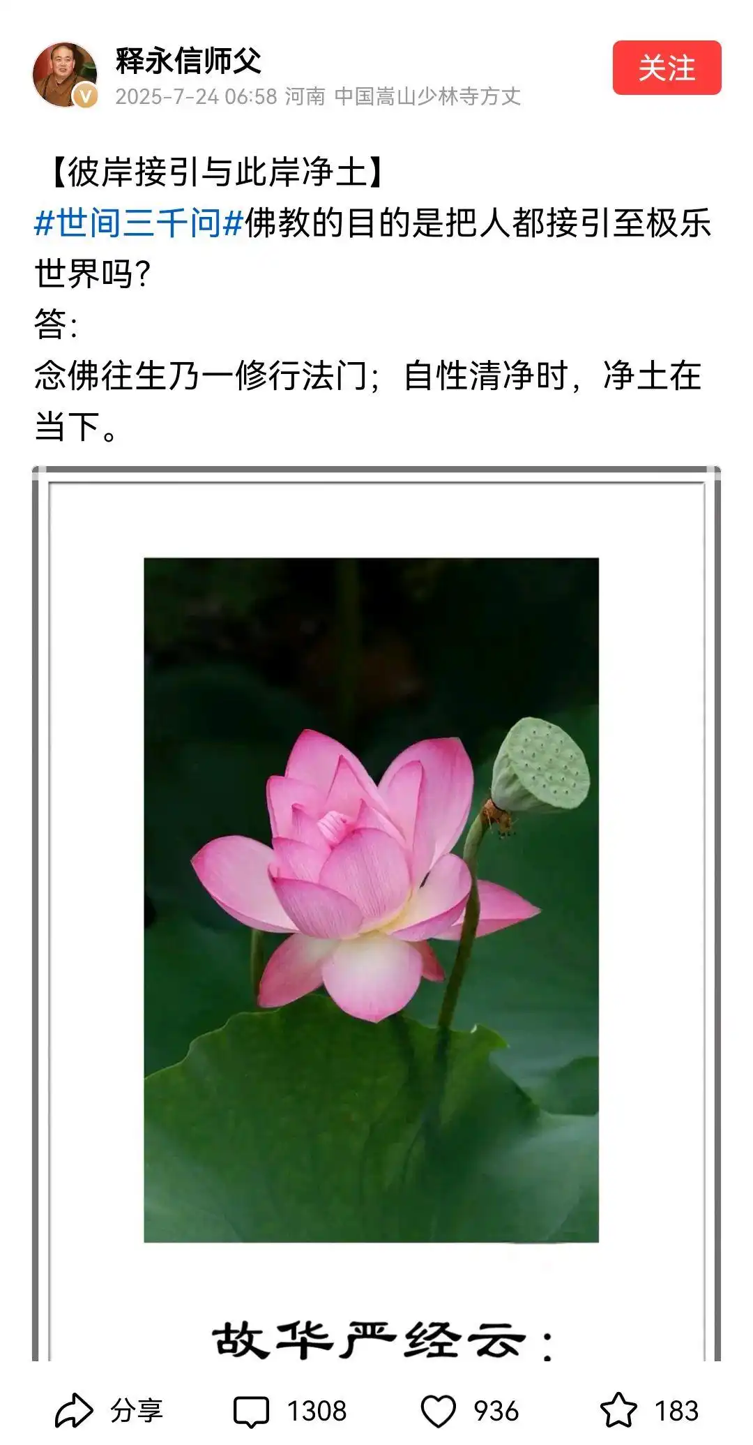 少林寺方丈释永信被查 挪用侵占项目资金 寺院资产_释永信到底是怎样的人