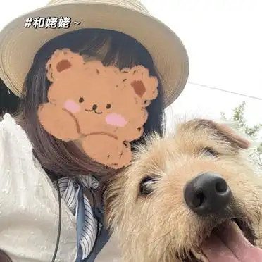 养土狗丢脸吗_土狗被嫌弃怎么办_当狗不丢人
