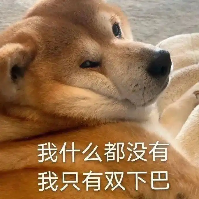 狗狗行为问题_当狗不丢人_养狗失败表现