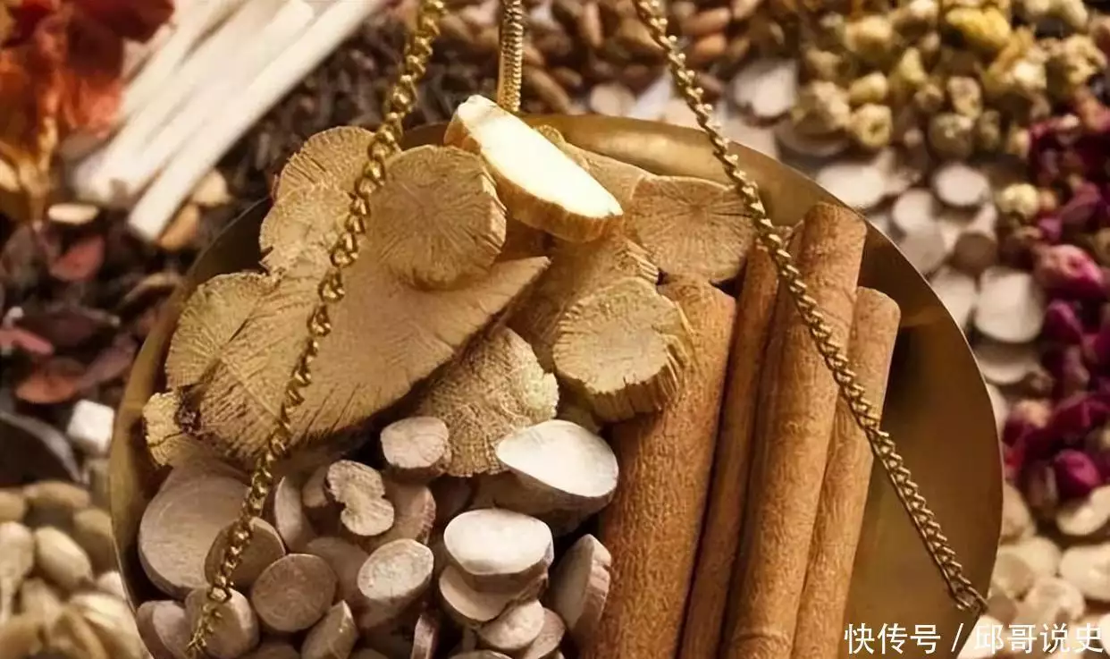 范增背疽死因_范增_宗泽背疮病逝原因