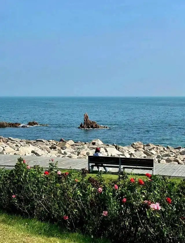 青海湖旅游攻略_祁连草原旅行体验_7-8月份避暑最佳地方