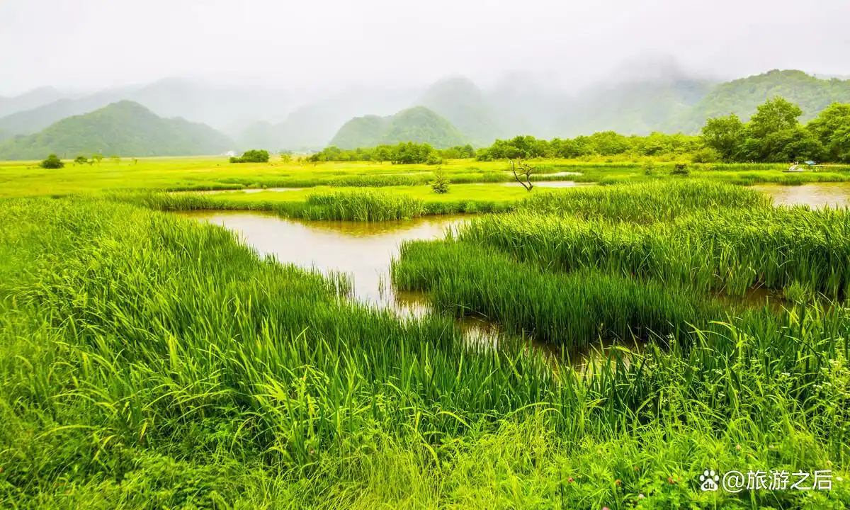 湖北神农架避暑旅游_7-8月份避暑最佳地方_贵州六盘水避暑胜地