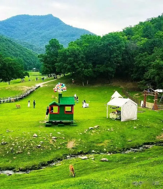 暑期避暑亲子游目的地_甘肃甘南高原童话世界_暑假适合带孩子旅游的地方