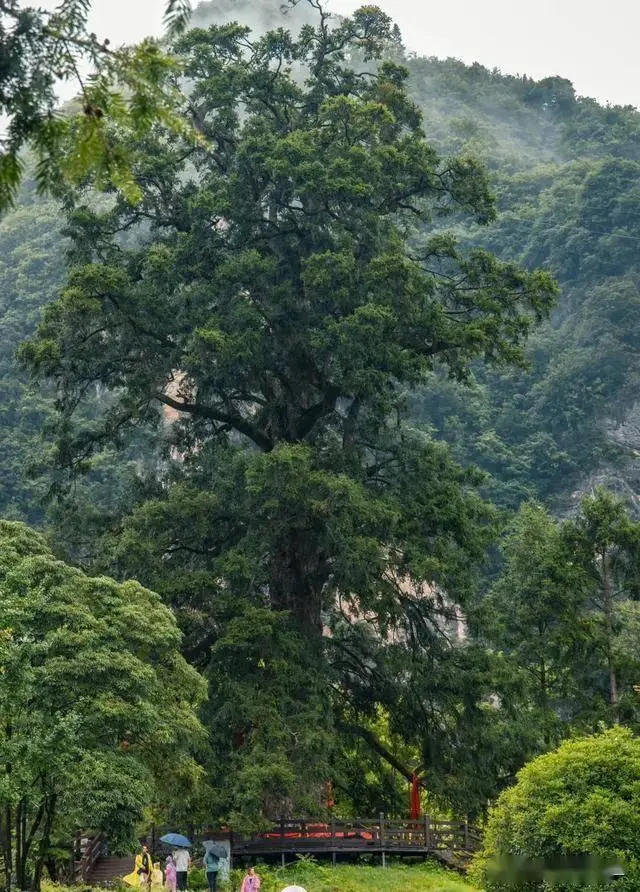 甘肃甘南高原童话世界_暑假适合带孩子旅游的地方_暑期避暑亲子游目的地