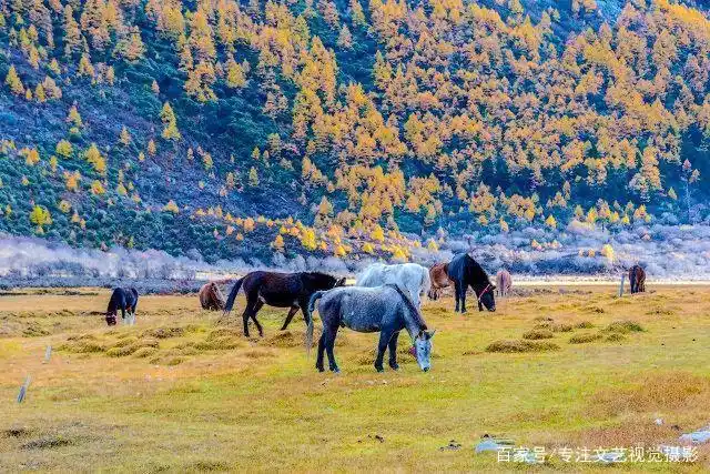 避暑胜地云南香格里拉旅游攻略_7-8月份避暑最佳地方_雨崩徒步路线攻略